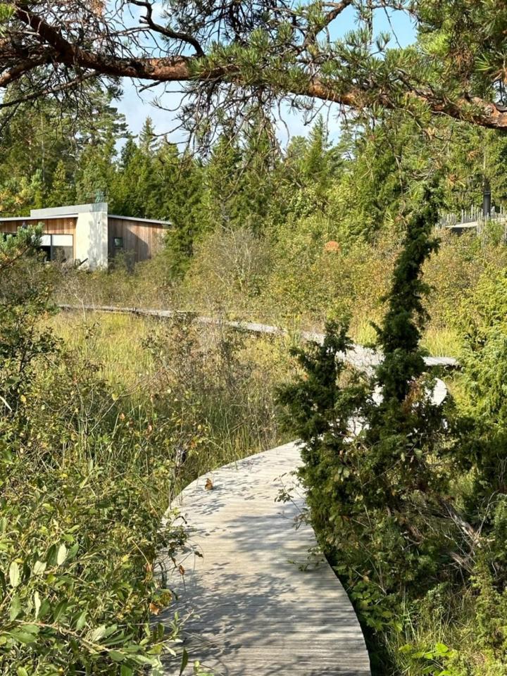 Maven Kustnaera Stugor Kappelshamn Extérieur photo